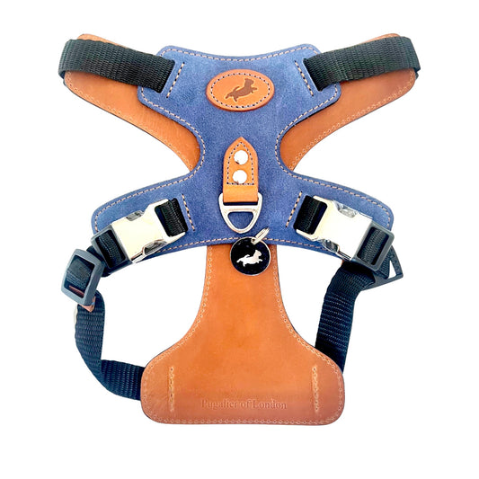 Blue Nubuck Dog Harness