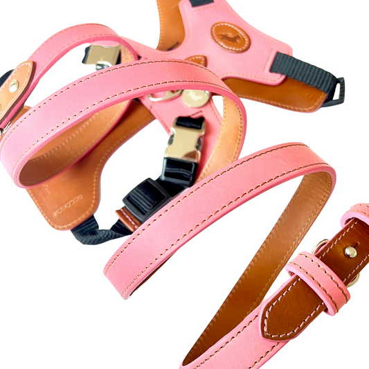 Pink Harness & Lead Matching Set