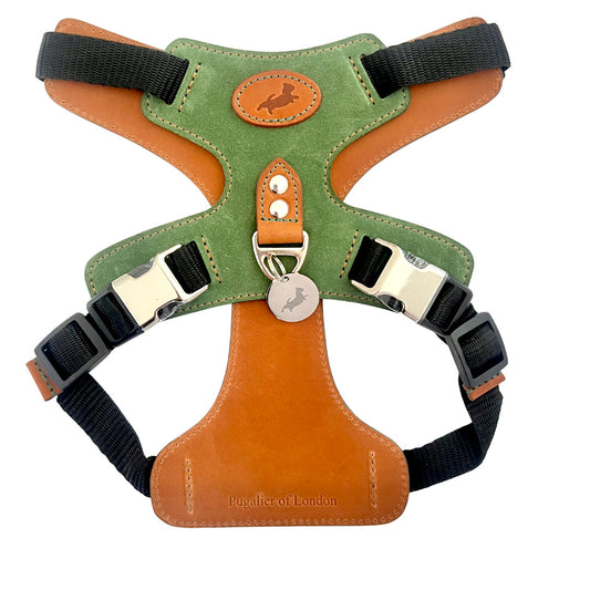 Green Nubuck Dog Harness