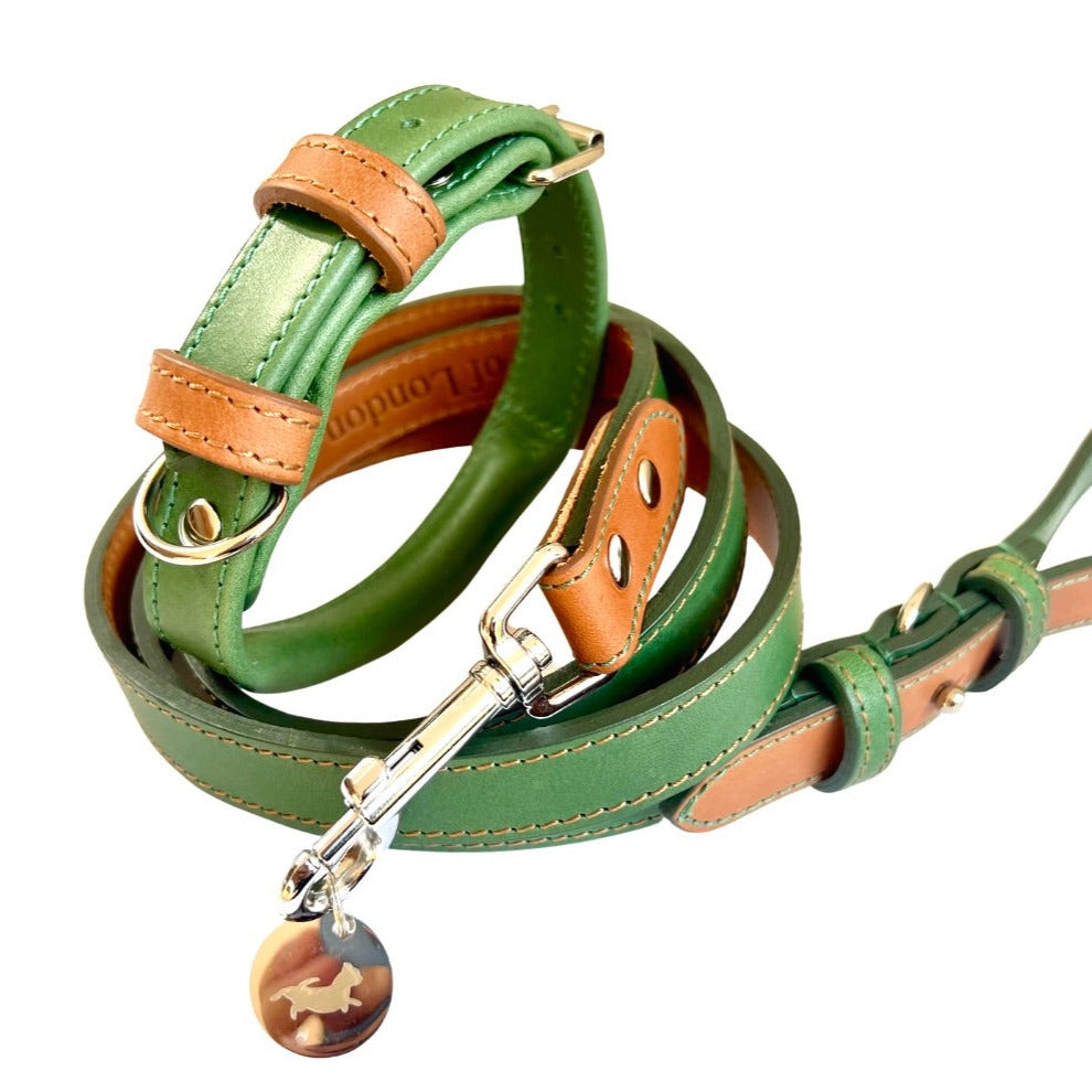 Green Collar & Lead Matching Set