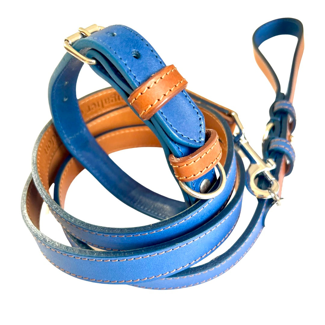 Blue Rolled Leather Dog Collar
