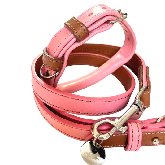 Pink Leather Collar and Lead Set