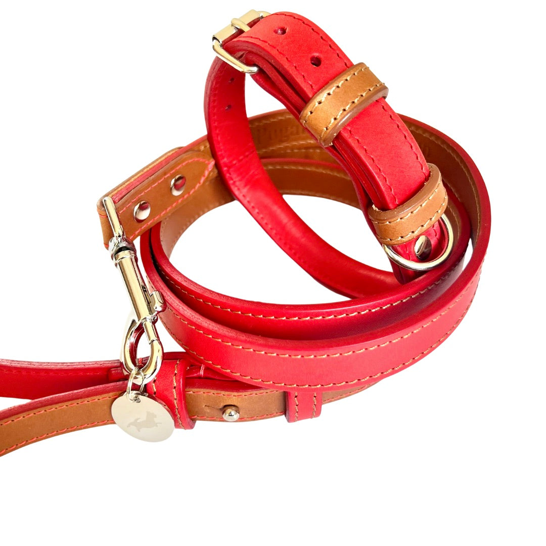 Red Leather Collar & Lead Matching Set
