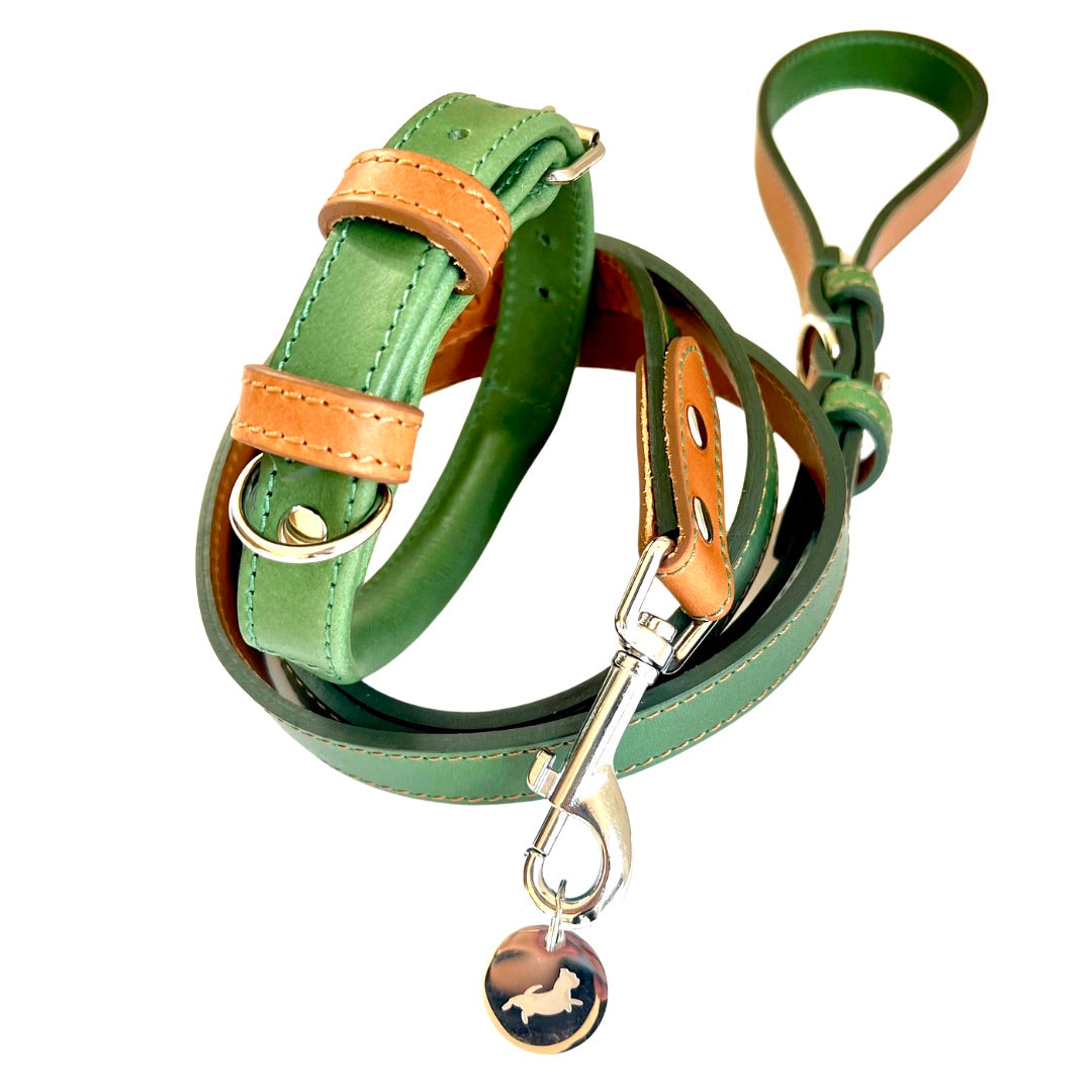 Green Rolled Leather Collar