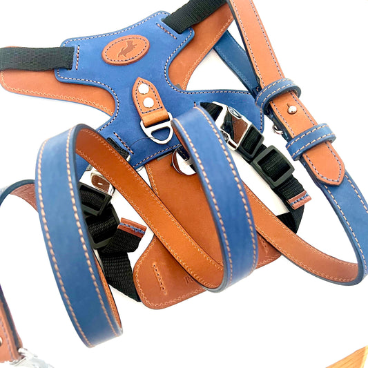 Blue Leather Harness and Lead Set