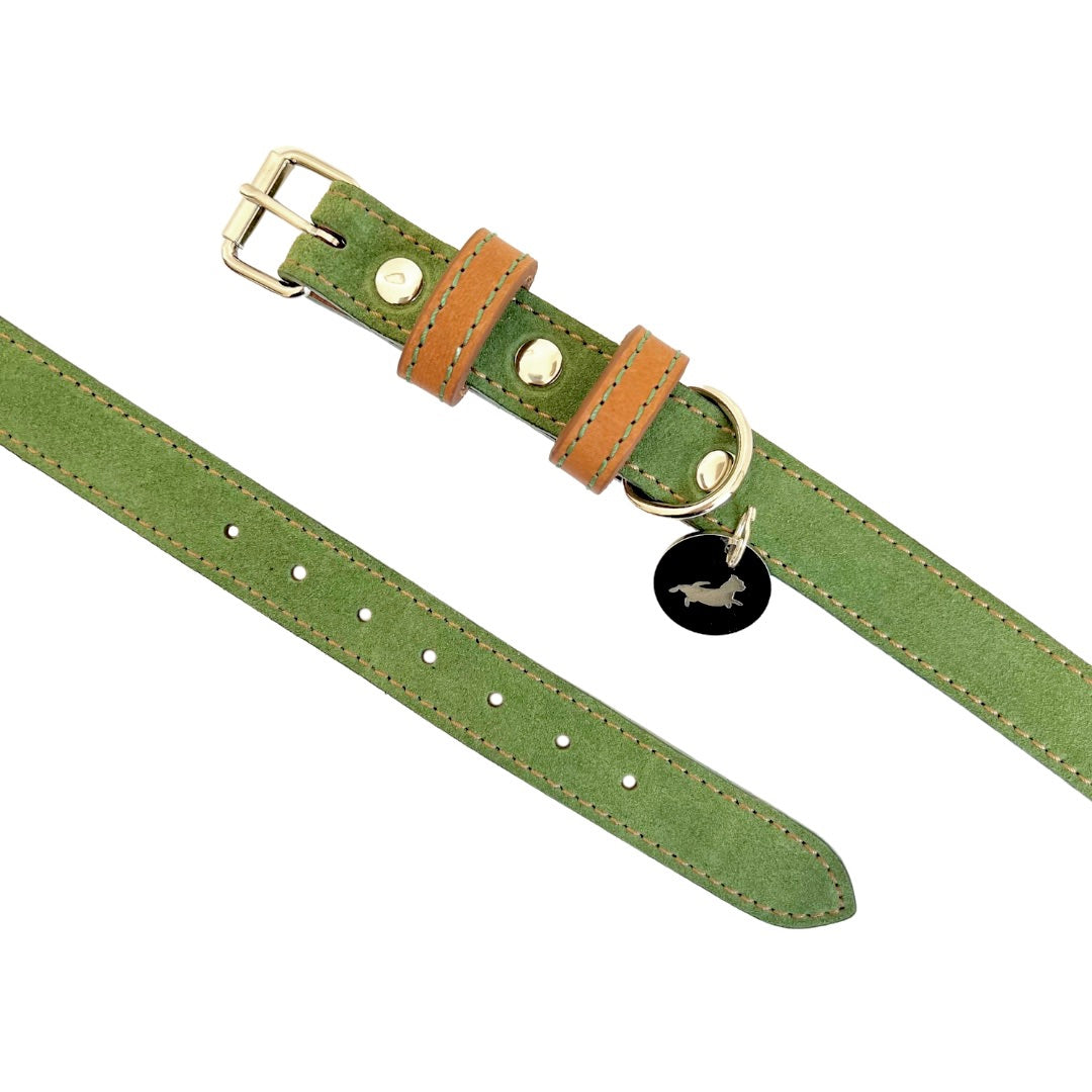 Green Nubuck Dog Collar
